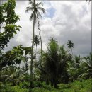 김성호농장 이미지