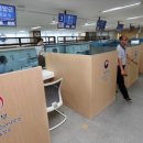 청명 행정사사무소 이미지