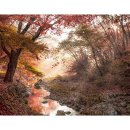산과들에서