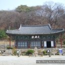 대명주 티스토리