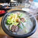 창양 신창마을 입구 | 솔라시도cc 맛집, 해남 신창손순대국밥(ft.허영만 백반기행)