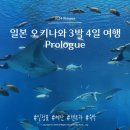[Prologue] 오키나와 3박 4일 여행 일정/예산/일본 렌터카/숙박(일정표 댓글 공유)