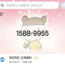 1533 | 보이스피싱 의심 전화 받은 후기(1533-5039, 우리은행, 우리카드, 트래블월렛)