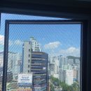 스테이 부사