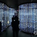 숲사랑(산불방지)홍보관 이미지