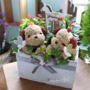 그루밍125 이미지