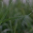 천상에서 이미지