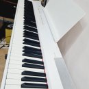 P105 | 야마하 p105 가성비 디지털피아노 실사용 후기 정리