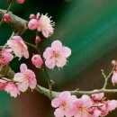 향기 - 사상구 주례동 | 향기
