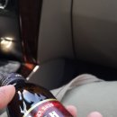 최씨고집 이미지