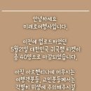 미래로여행사