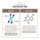 민테라피 이미지