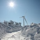 양은목장 이미지