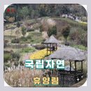 자연속 힐링 휴식처, 국립자연휴양림 100% 즐기기