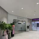 정산부인과 이미지
