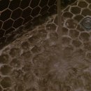 세화 정원 이미지