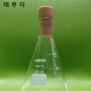 실리(SILI) 이미지