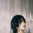 이가락 이미지