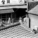 한일쌀상회 이미지