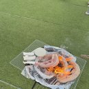 고고캠 | 용인 애견동반 셀프바베큐 고고캠 강아지랑 방문 후기