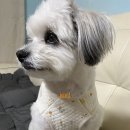 간장게장 보리굴비 황금정