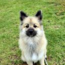 불당유치원 이미지