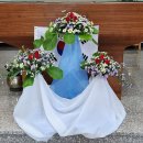 갈등과 반대는 우리의 영적 성장에 중요한 역할을 할 수 있다(25.8,17연중제20주일 강론) 이미지