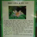 하로당