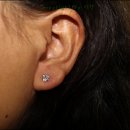 웰리스팜 이미지