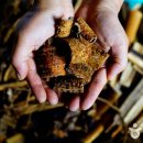 하박국식당 이미지