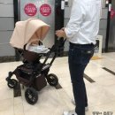 엔씨백화점수아팜