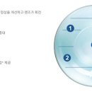 삼화비젼