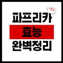 파프리카 효능 부작용