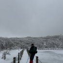 色이 있는 風景 | 📍 한라산 사라오름 겨울 등산 후기