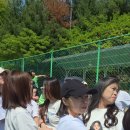 샘솔유치원 Daum카페