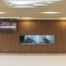 강남교회(교육관) 이미지