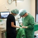 예일치과 이미지