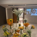 수원시청역 웨딩홀 루클라비 상담 후기 (+당일계약)