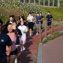 새남맥스 스포츠 니삭스 솔직 후기