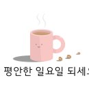 피엔비약국 티스토리