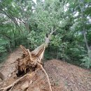 한우물약수터 이미지