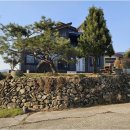 초이지아 이미지