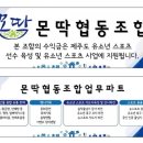 경희대 디딤돌 태권도 이미지