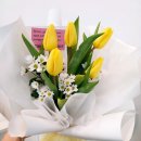 모코코플레르 이미지