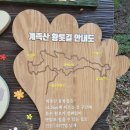 11월 25일 대전 계족산 황톳길 트레킹(28인승 리무진 진행) 이미지