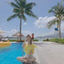 아린이 Daum카페
