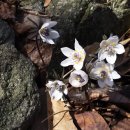 덕산복집 이미지