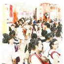 이브올루션 이미지