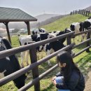 한우리목장 이미지