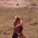 아브라카다브라 이미지